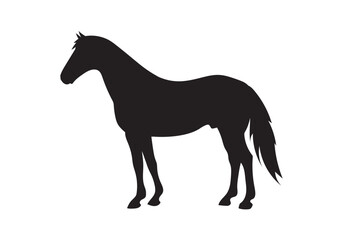 horse vector illustration
