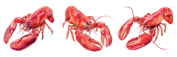 Set of hand drawn watercolor lobsters, lobsters, crabs png. Watercolor seafood. Sea restaurant concept. Sea food elements for menu, posters, restaurants etc. Vector illustration.