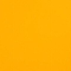 backround best photo