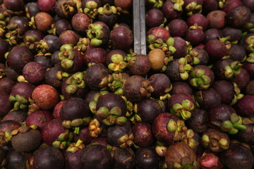 mangosteen tropical evergreen edible fruit in the market