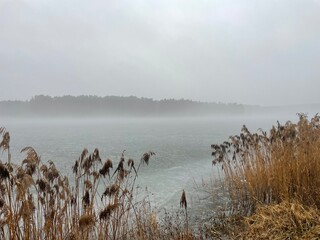 fog on the lake