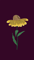  Yellow flower illustration on dark background. Simple botanical vector.