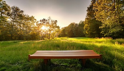 empty wooden bench in a peaceful park surrounded by tall grass and trees during golden hour tranquility