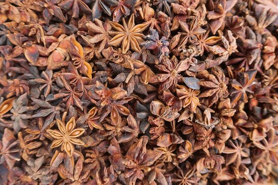 Star Anise on the background, Star anise is spice that has been used in traditional Chinese medicine for thousands of years. It has powerful bioactive compounds that may help treat fungal
