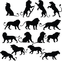 Wildlife Art  Lion Silhouette Under Glowing Evening Sky