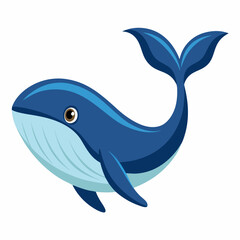 whale on white background 