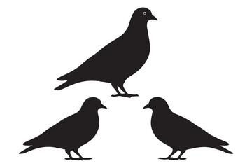 Obraz premium silhouettes of pigeons with different postures, perfect for design projects