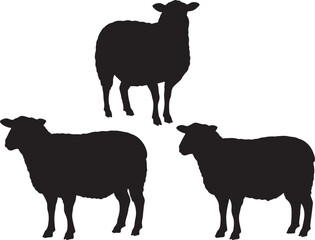 Cute sheep farm animal silhouette vector illustration