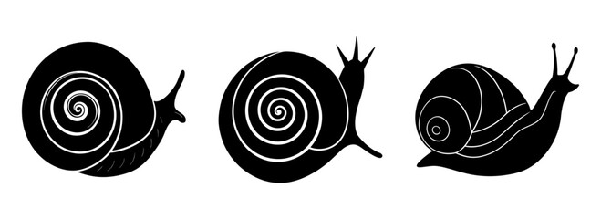 Three black and white snail vector art illustration graphic design element silhouette © stockpoint