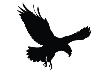 silhouette of an eagle in flight with wings spread wide