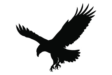 Obraz premium silhouette of a soaring eagle with talons extended