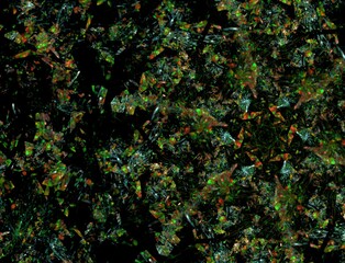 Fototapeta premium Imaginatory fractal abstract background Image