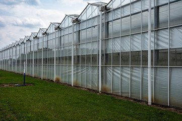 Obraz premium Anthurmiddendorp glasshouses gardening and organic growth company in Haacht, Flemish Brabant, Belgium