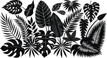 Diverse Tropical Leaf Silhouette Pattern Set