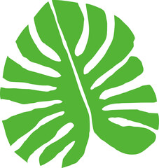 Bold green monstera leaf in matisse style