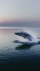 Fototapeta premium Whale leaping out of water at sunrise
