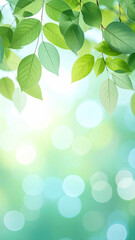 Obraz premium Pastel Green Leaves Floating on a Soft Bokeh Background.artistic, blurred, bokeh, calm, colourful, delicate, elegant, floating, gradient, graphic, image, minimal, pastel, peaceful, relaxing, serene,