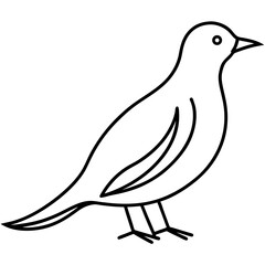 Fototapeta premium vector illustration of a bird