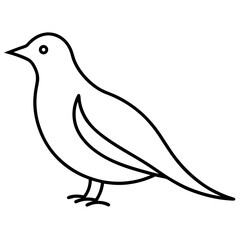Obraz premium vector illustration of a bird