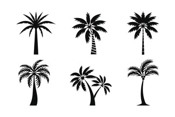 Palm Tree Vector Silhouette Set for Tropical Beach Design