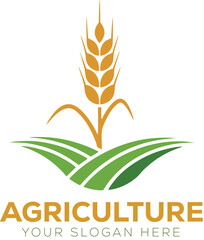 golden wheat green field logo of agriculture company  © Samdesign09