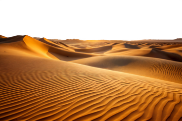 Golden Hour Desert Dunes Landscape Wide Shot Textured Sand Ripples Sahara Arabian Desert Sunset Warm Colors A I Generated isolated on a transparent background