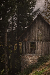 old wooden house in the black forest