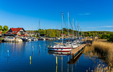 Schiffsanleger und Landschaft am Neuensiener See in Seedorf, Rügen, Mecklenburg-Vorpommern, Deutschland