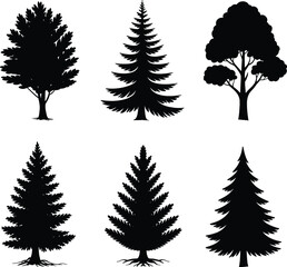 Obraz premium Black silhouette pine tree set on white background vector illustration