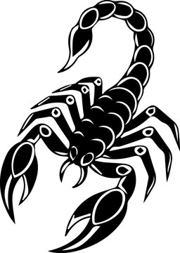 scopion