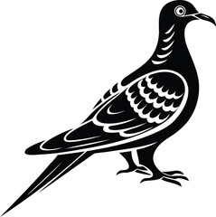 Obraz premium Premium quality Passenger pigeon vector illustration design, Vector of Passenger pigeon, Modern silhouette vector art of Passenger pigeon