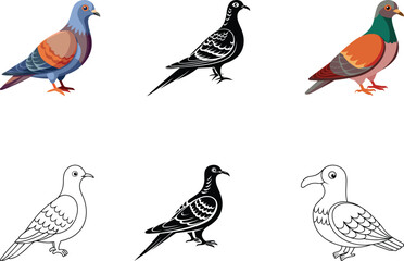 Collection of Premium quality Passenger pigeon vector illustration design, Vector of  Passenger pigeon, Colorful, line art and silhouette vector illustration of Passenger pigeon