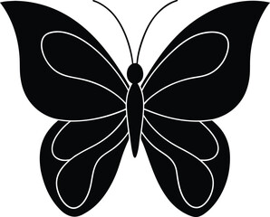 butterfly on white background