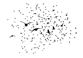 Flying birds silhouette flock. hand drawing. Not AI. Vector illustration.