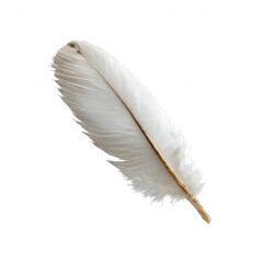 A delicate white feather showcasing intricate details and texture, isolated on a white background. Perfect for creative projects, crafts, or natural themes.