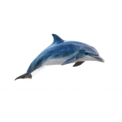 A graceful dolphin leaping above the water surface, showcasing its sleek body and playful nature against a white isolated background.
