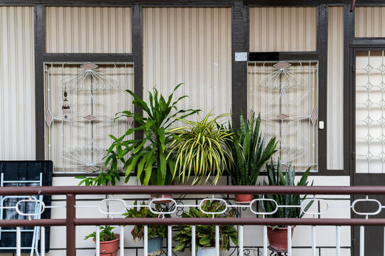 Potted plants by Lee Jetty house facade