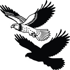 Falcon with Open Wings Vector Illustration
