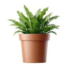 A vibrant green plant in a brown terracotta pot, adding a touch of nature to any indoor space. Ideal for home decor, gardening, or office ambiance.
