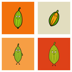 Four squares displaying cartoon cardamom pods with varying expressions and backgrounds are shown here
