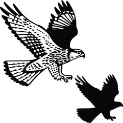 Hunting Falcon in Flight Vector Illustration
