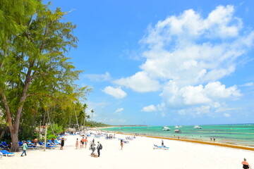 Obraz premium El Cortecito, Punta Cana, Dominican Republic- June 12, 2025: People walking along the coastline and sunbathing on one of the best beach in Caribbean area. Lots of seaweed, specifically Sargassum.