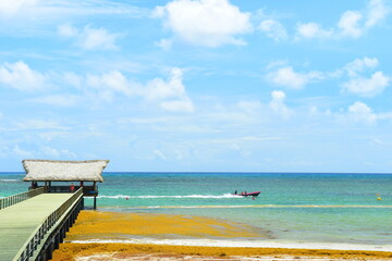 El Cortecito, Punta Cana, Dominican Republic- June 12, 2025: People walking along the coastline and sunbathing on one of the best beach in Caribbean area. Lots  of seaweed, specifically Sargassum.