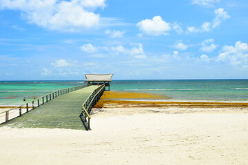 El Cortecito, Punta Cana, Dominican Republic- June 12, 2025: People walking along the coastline and sunbathing on one of the best beach in Caribbean area. Lots  of seaweed, specifically Sargassum.