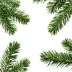 Holiday Evergreen Pine Branches Border, festive border made of evergreen pine branches, isolated on transparent background