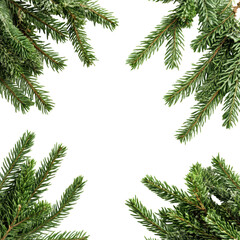 Holiday Evergreen Pine Branches Border, festive border made of evergreen pine branches, isolated on transparent background