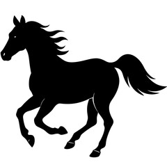horse silhouette isolated on white