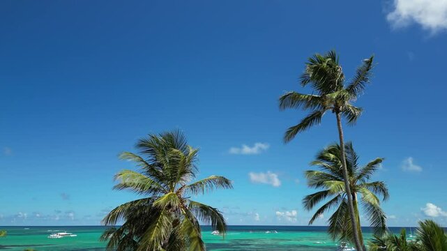 Overhead drone capture of catamarans, tour boats, and yachts near Bávaro Beach, Dominican Republic. Filmed on May 8, 2025 — perfect for travel agencies, vlogs, and Caribbean lifestyle content.