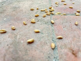 Wheat grains, stone pavement texture background