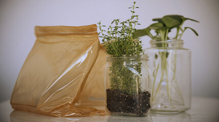 Flat-lay and lifestyle images of biodegradable packaging, paper bags, reusable containers, and organic product branding.